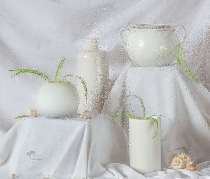 *** фото превью