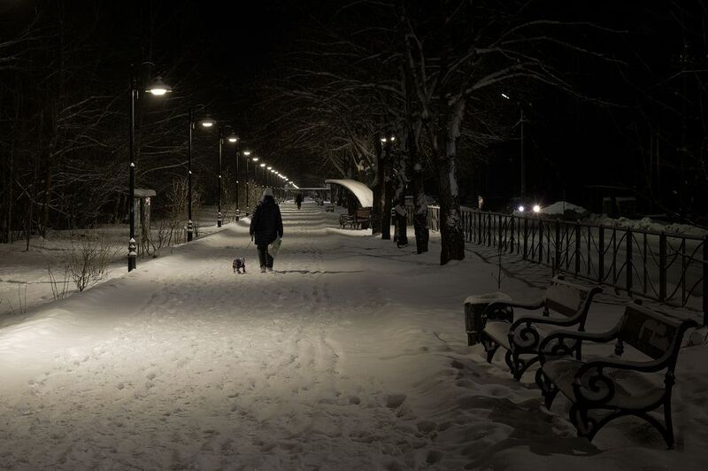 Вечерний променаж. фото превью
