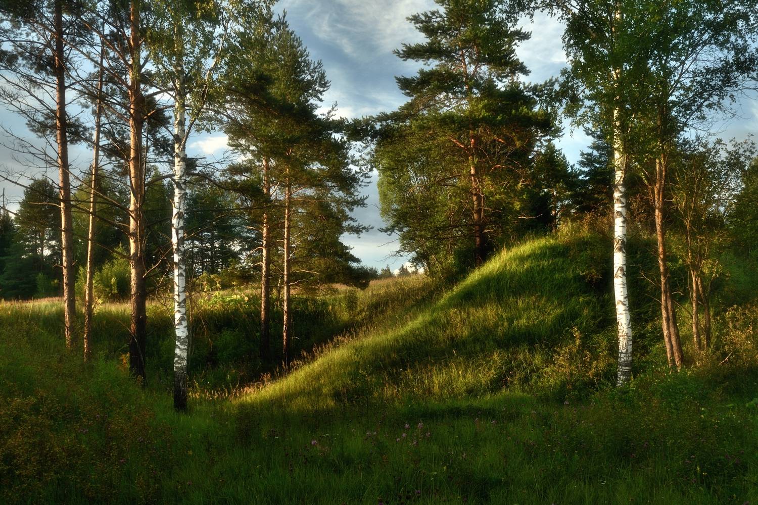 , Алексей Никонов