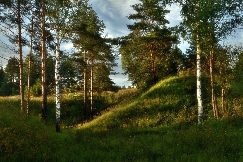 Летний этюд фото превью