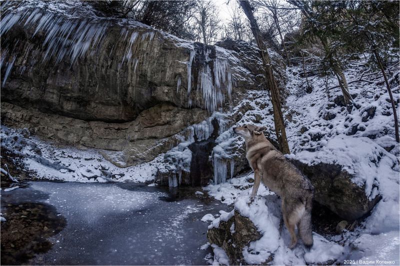 Одвин фото превью