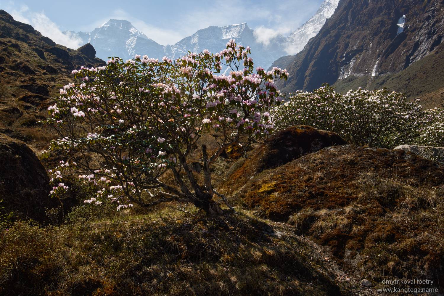 пейзажемагьё, пейзаж-как-виденье, Коваль Дмитр