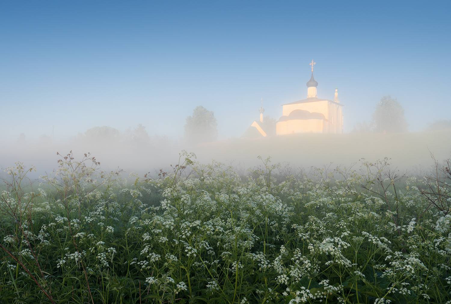 , Дмитрий Асеев