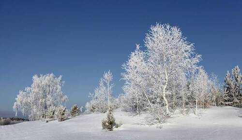 Морозное утро