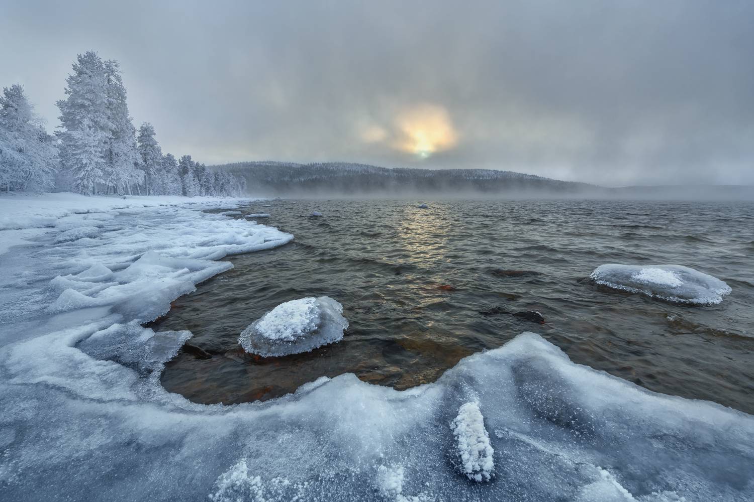 , Евдокимов Максим