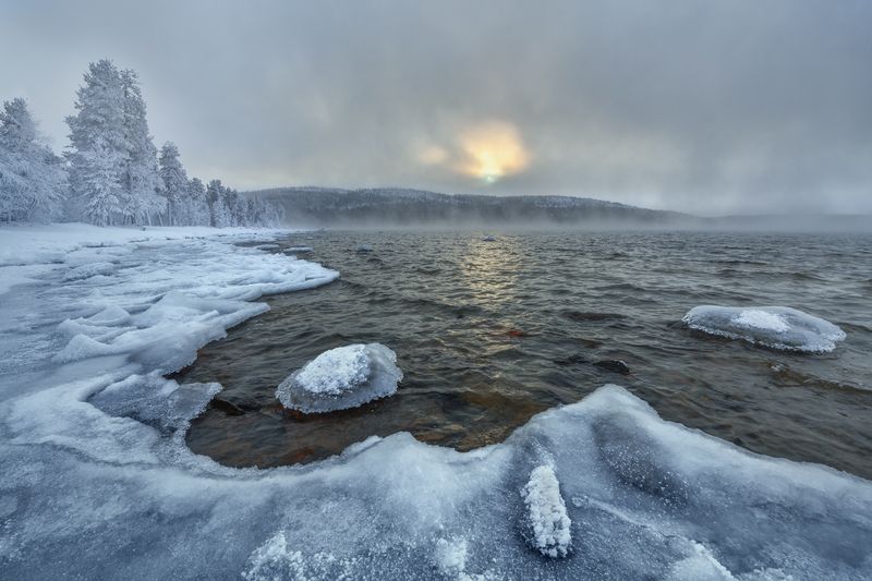 Игра в прятки...  фото превью
