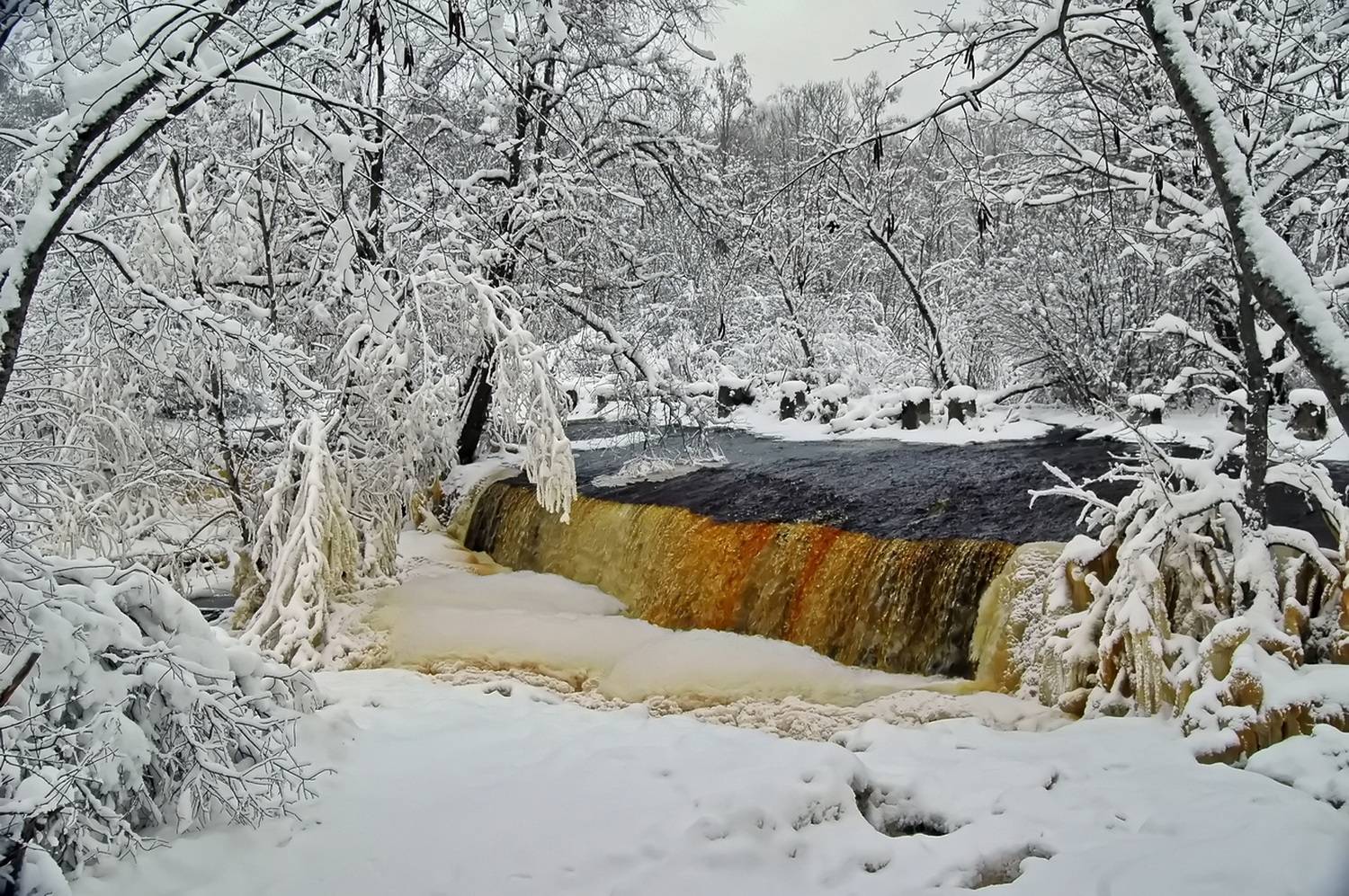 , Николаев Владимир