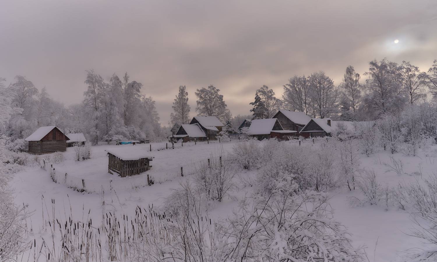 , Борис Дацковский