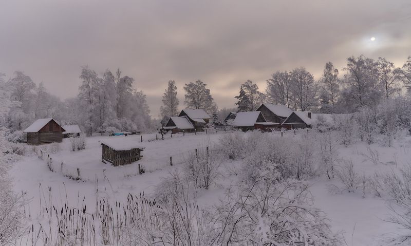 В лесу. фото превью