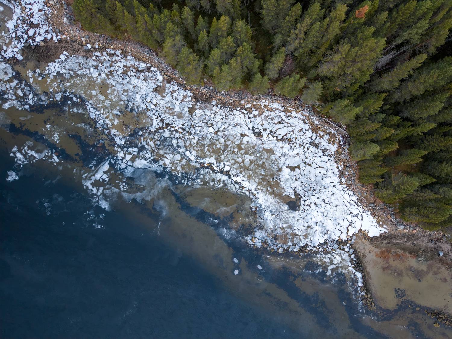 , Карамышева Дарья