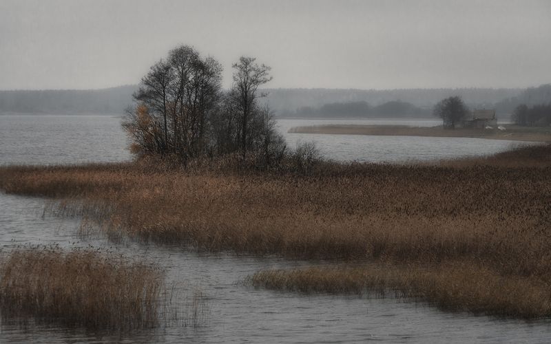 +++ фото превью