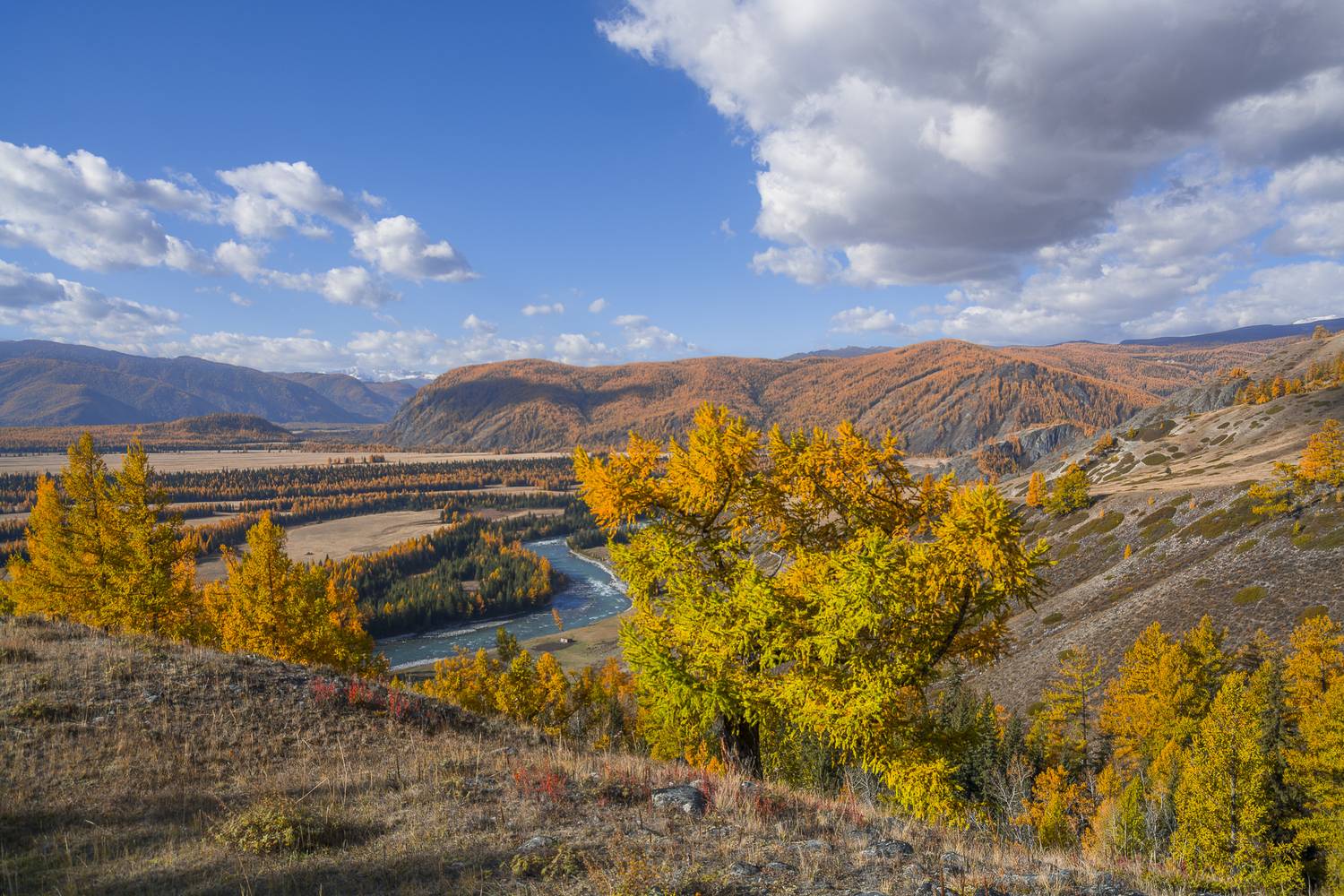 россия, горный алтай,осень, Поляков Андрей