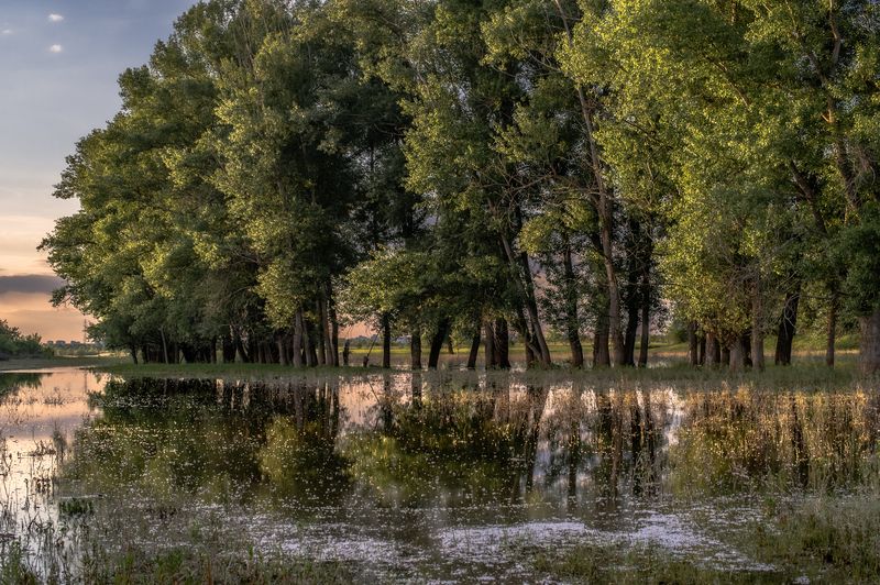 Вечер фото превью