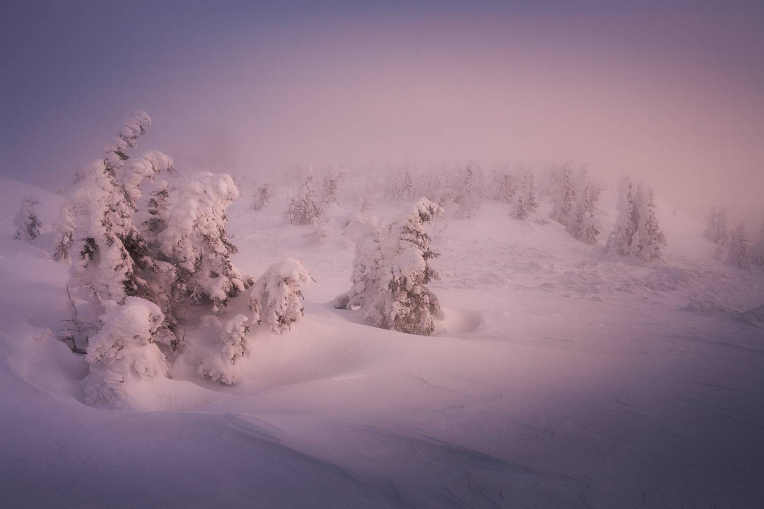 , Татьяна Бирюкова