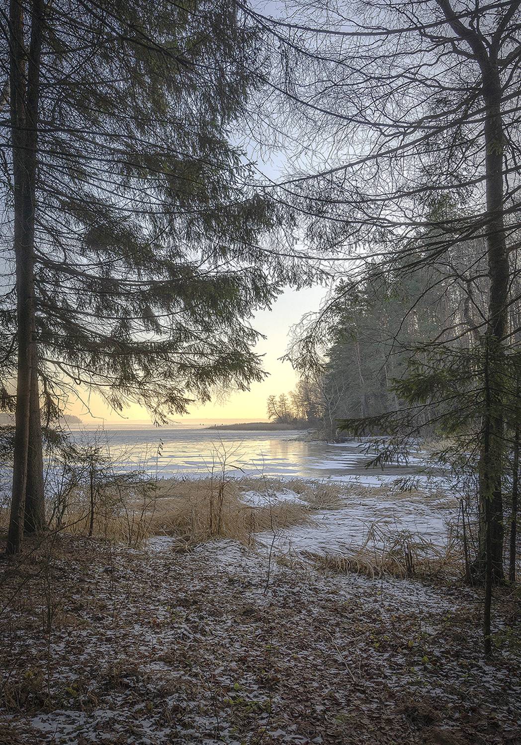 , Сергей Аникин