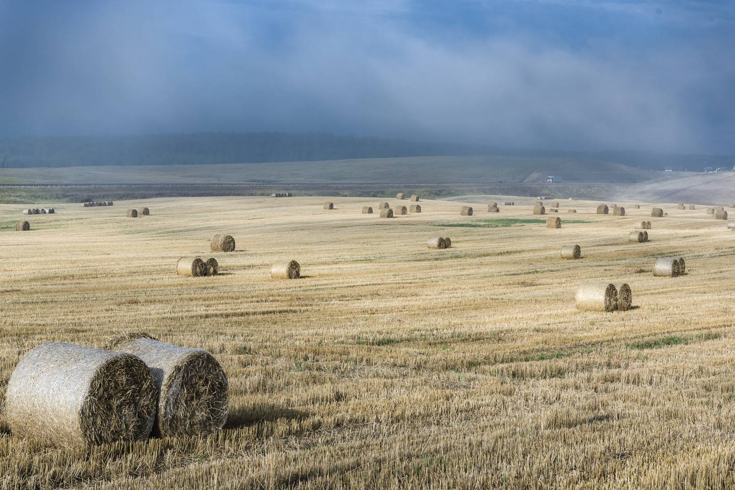 , Руслан Авдевич