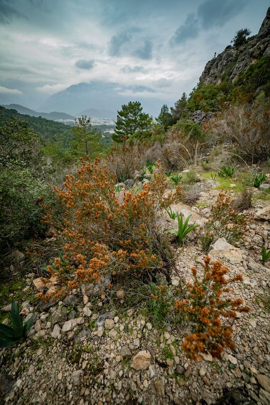 Турция, Кемер, Ликийская тропа, обзорная площадка - Dead End, Lycian Trail Зимний вид на Кемер фото превью