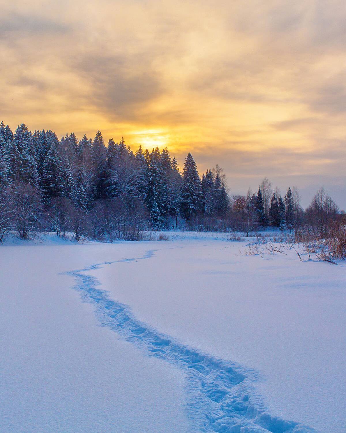 , Фотов Ренат