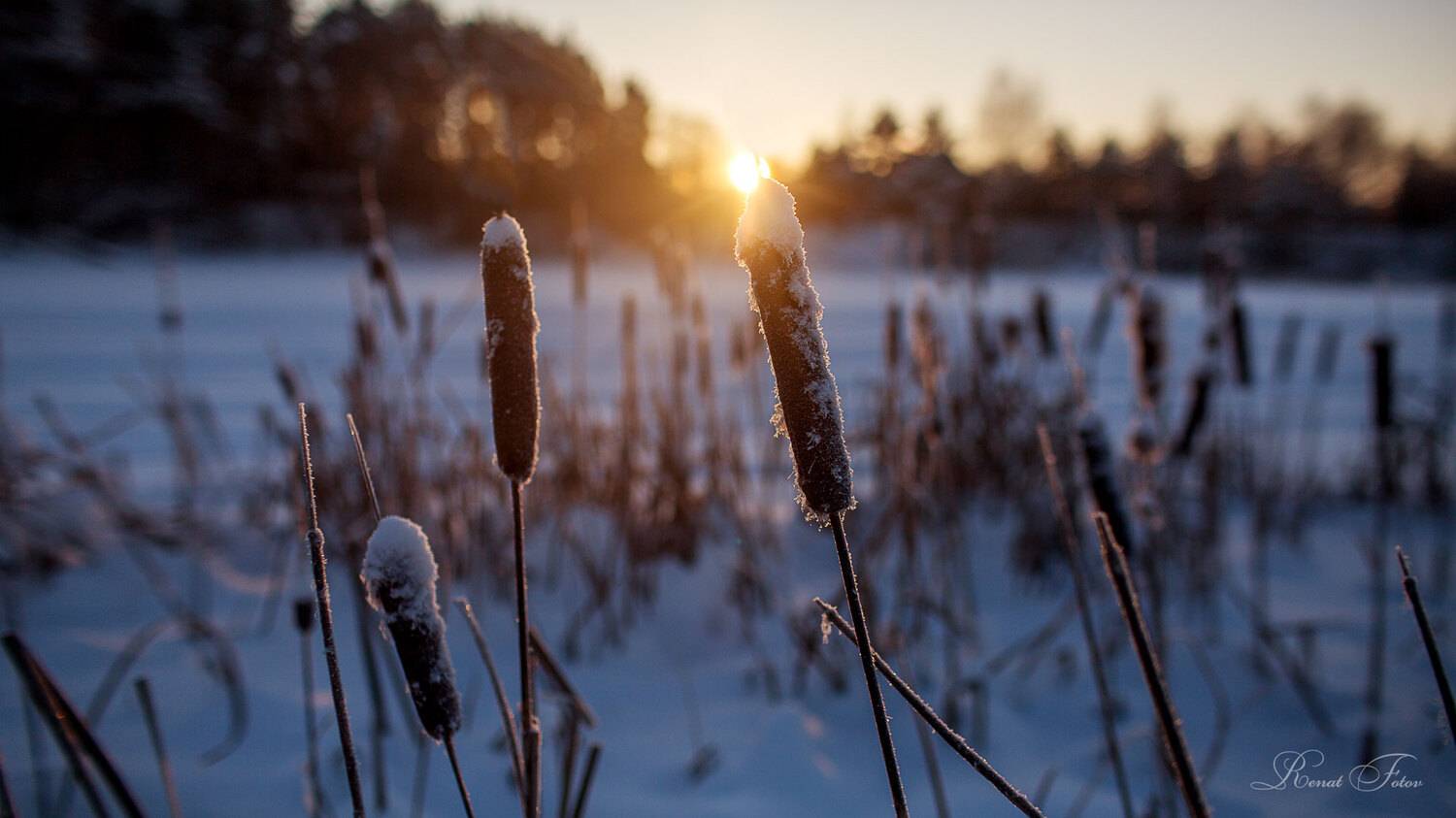 , Фотов Ренат