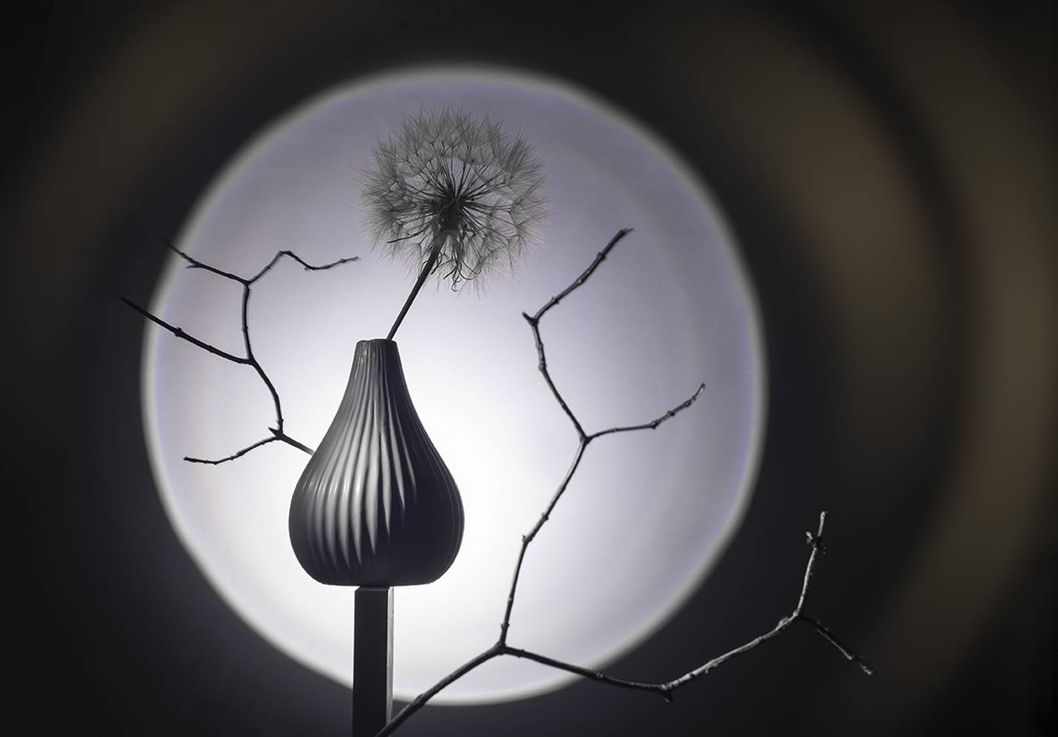 , Евгений Попов