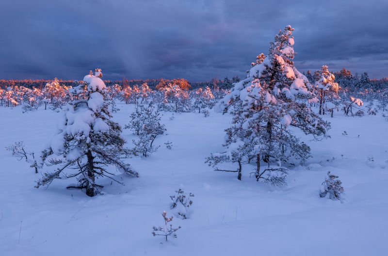 Зимнее утро фото превью