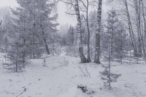 Морозное утро