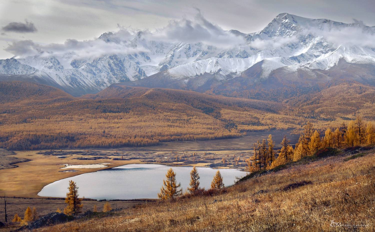 , Светлана Крат