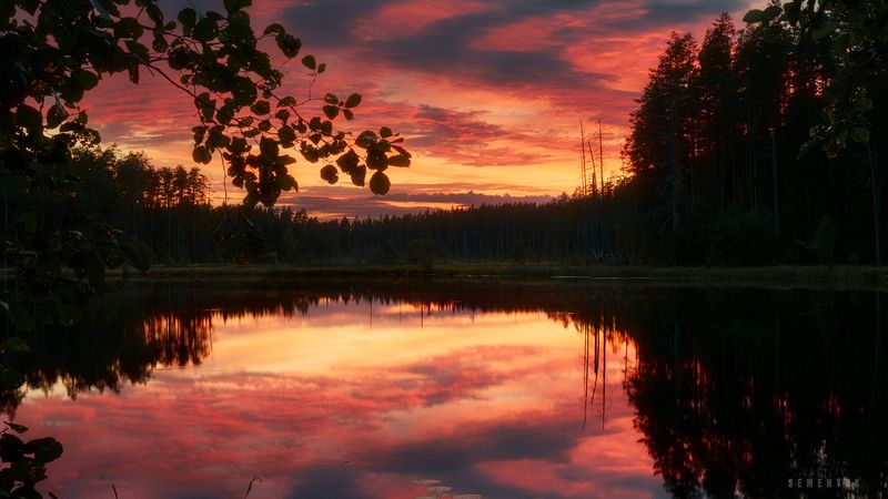 карелия, лахденпохья, озеро, лес, белая ночь, лето. Белая ночь, опустилась бесшумно на скалы... фото превью