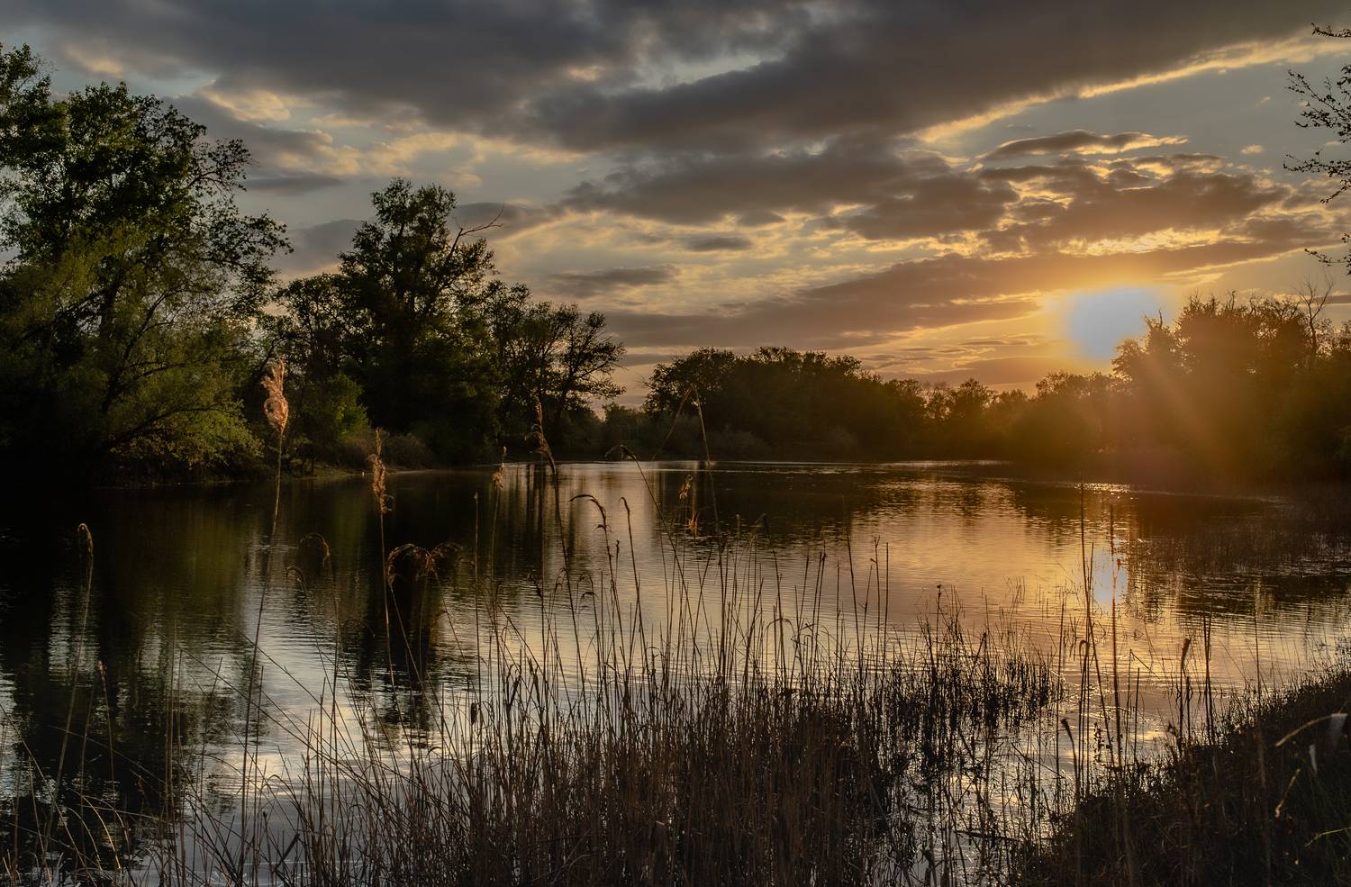 пейзаж,природа,закат, Vasilev Roman