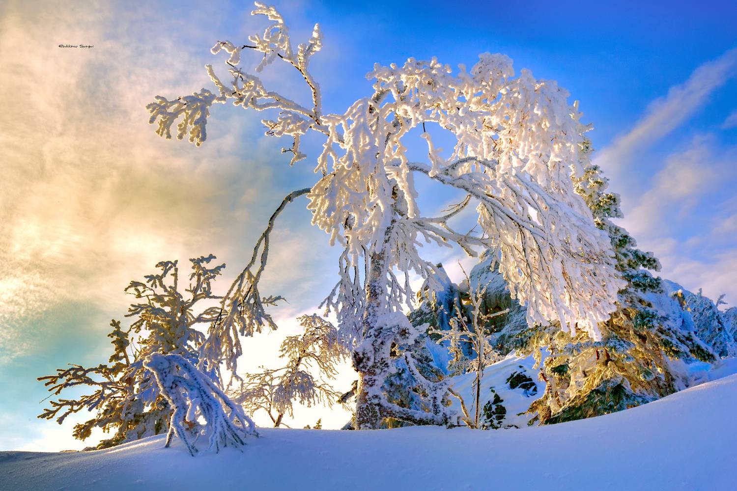 , Евдокимов Сергей