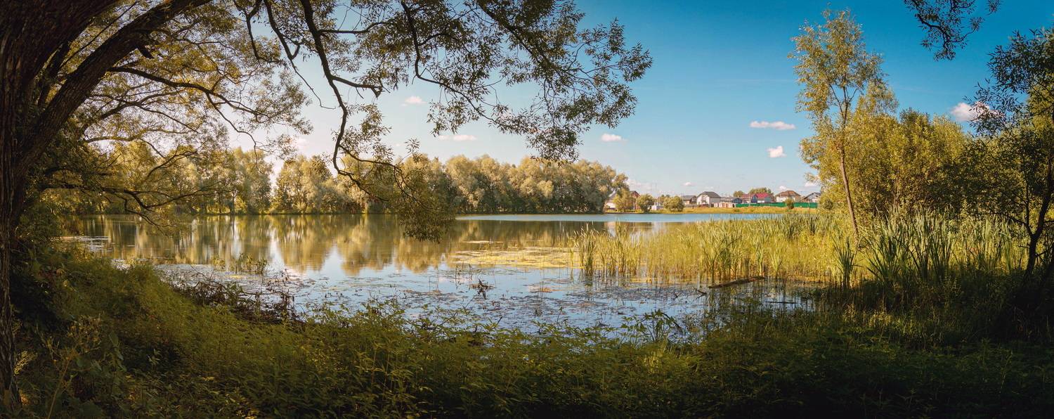 , Сушкевич Светлана