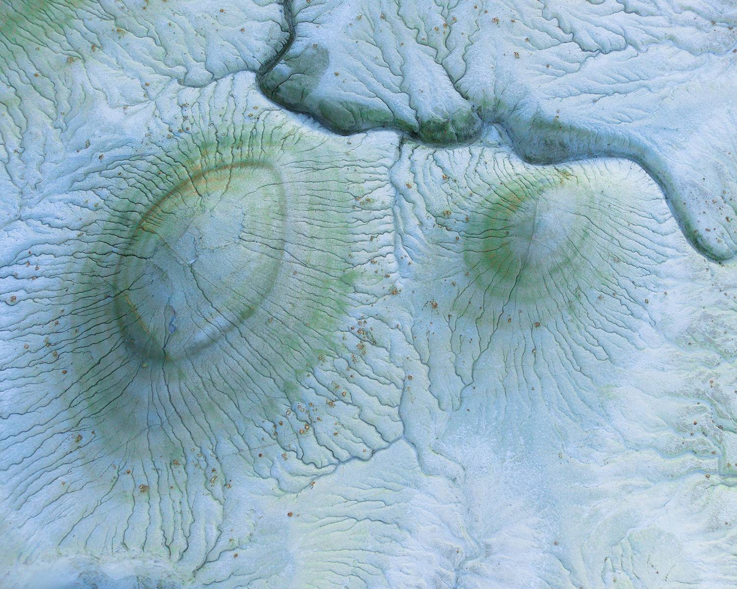 Kazakhstan, Даниил Коржонов