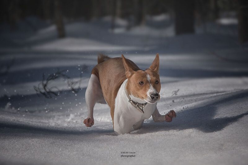 Дуся фото превью