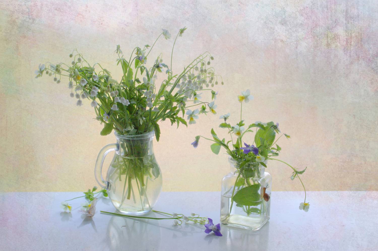 , Хохлова (Ермохина) Наталья