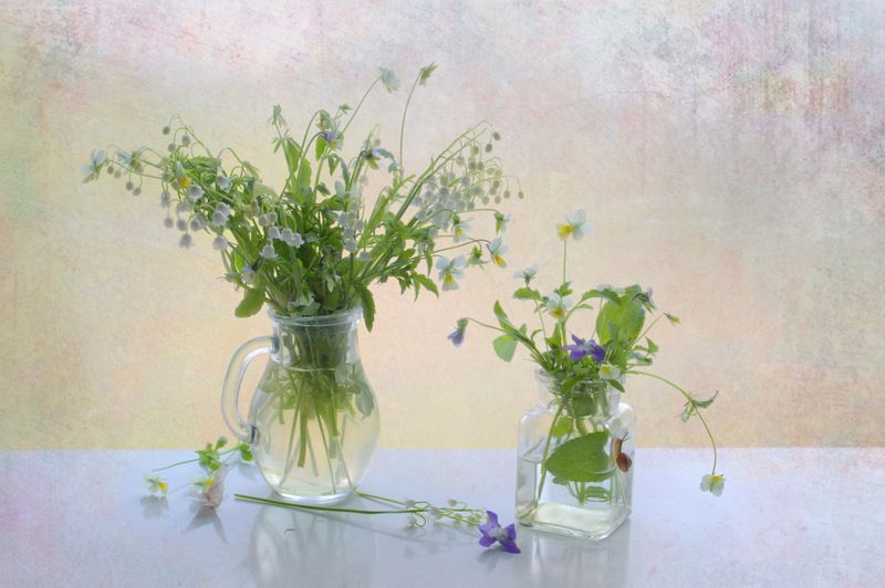 Была весна. С улиткой и бабочкой .... фото превью