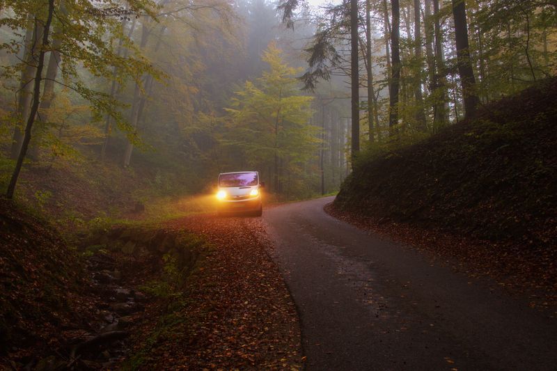 дорога, горы, туман, пейзаж Дорога в тумане фото превью