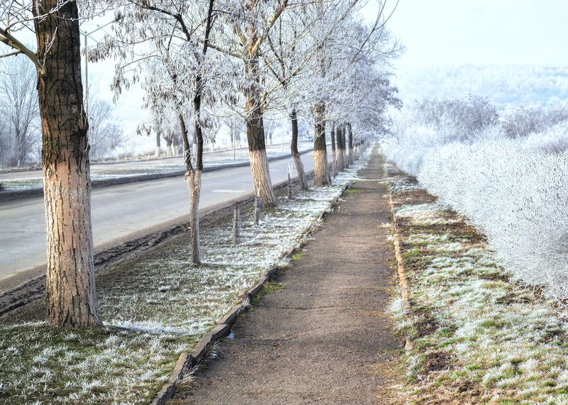 пейзаж, зима, снег, дорога, деревья, иней Зимнее утро фото превью