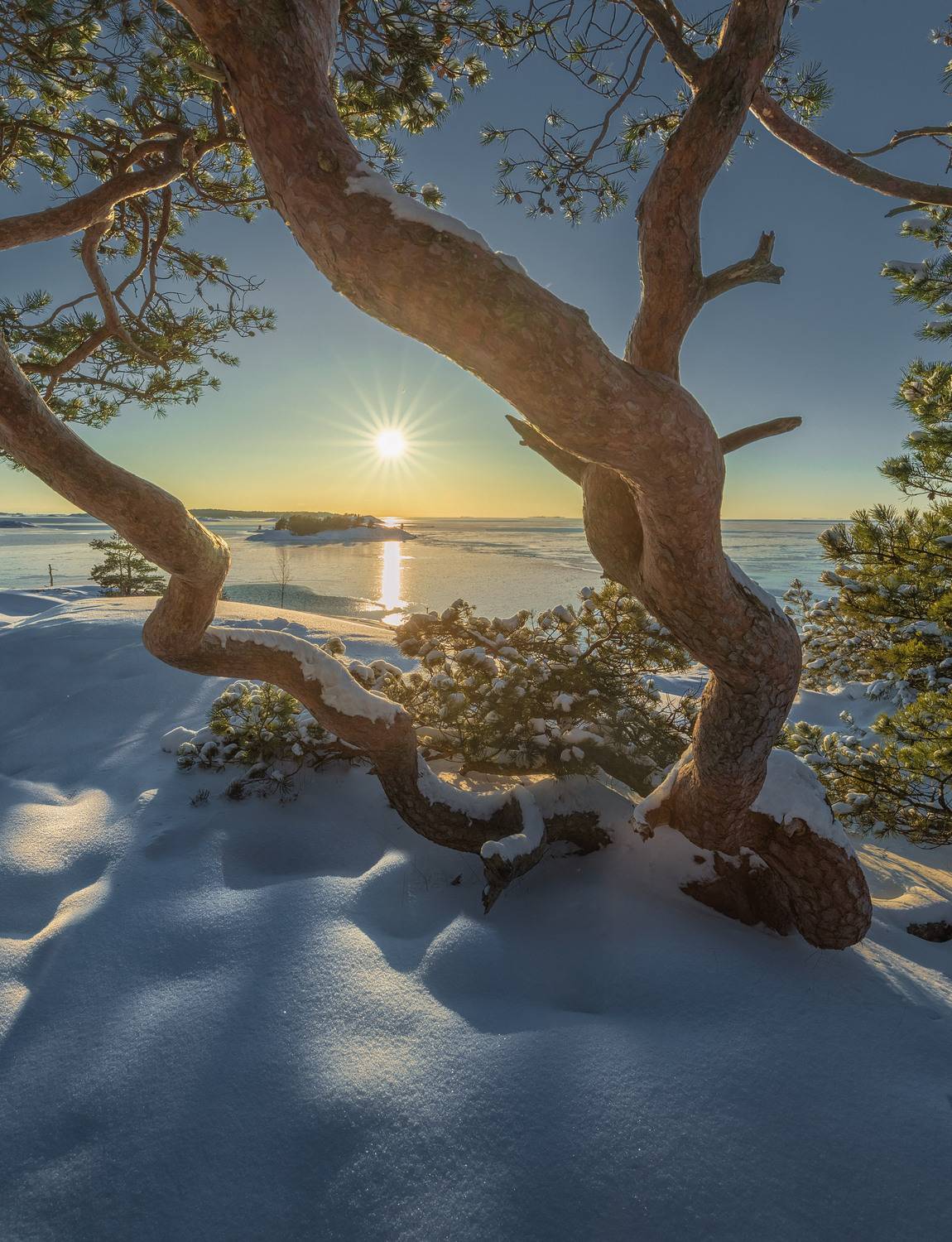 , Андрей Овдиенко