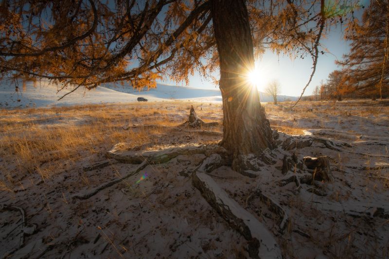 Алтай фото превью