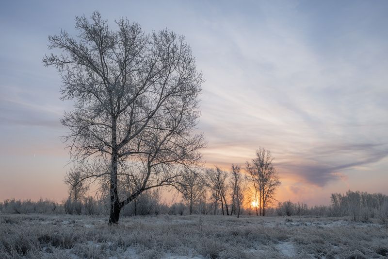 зима снег утро солнце Зимнее утро фото превью