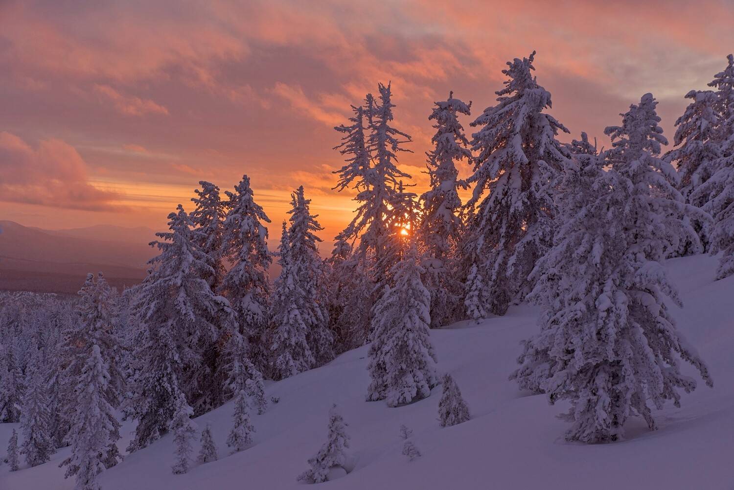 , Юрий Мальцев