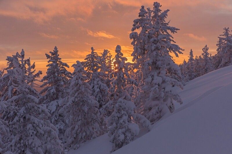 Вечерние кружева фото превью