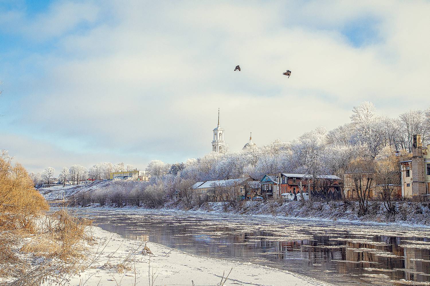 , Ирина Ларина