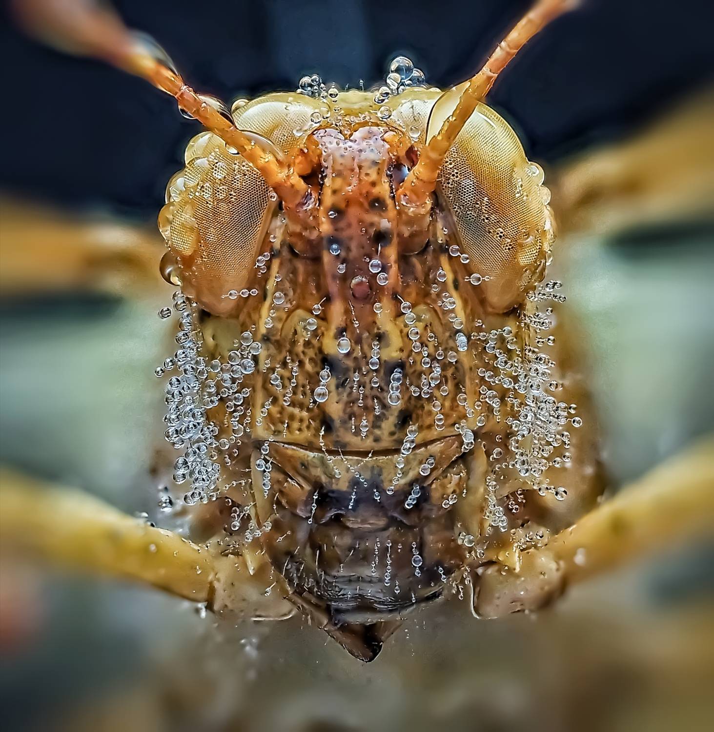 , Савчук Анатолий