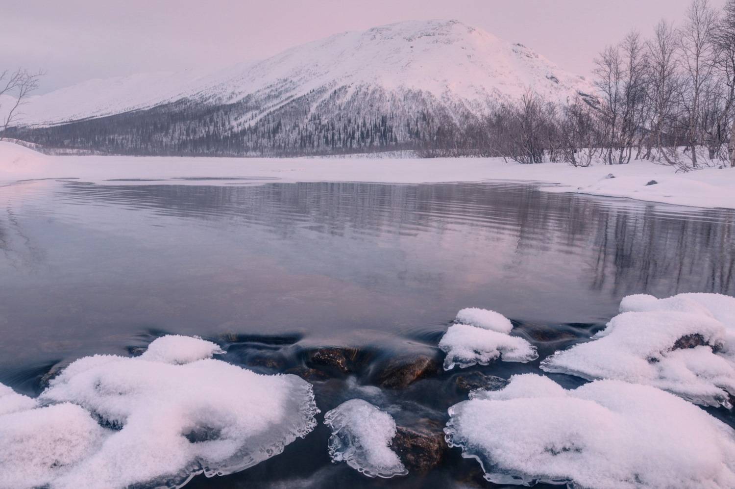 , Добролюбова Тамара