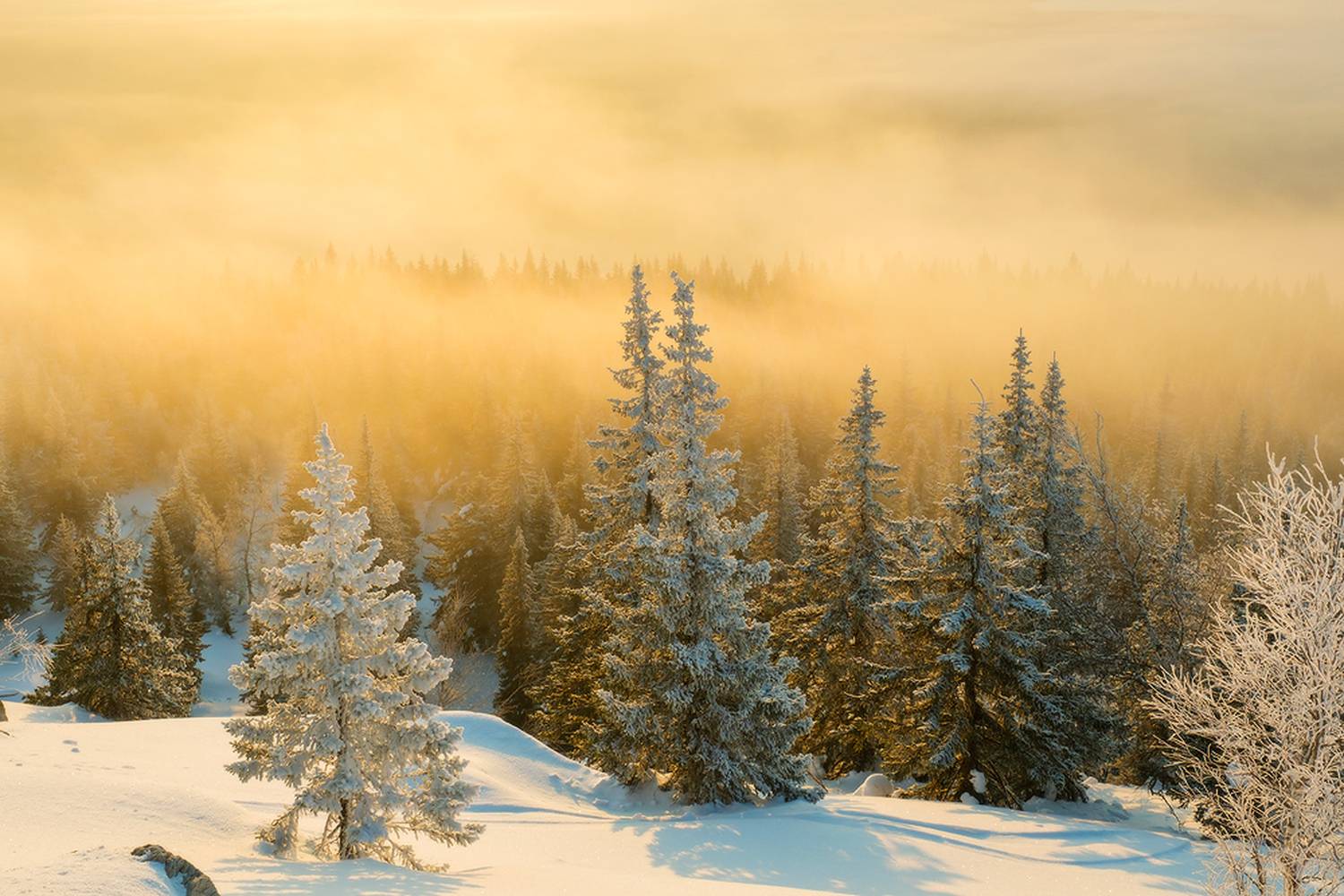 Зюраткуль, Юсупов Александр