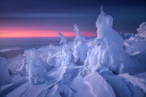 Стражи Колчима