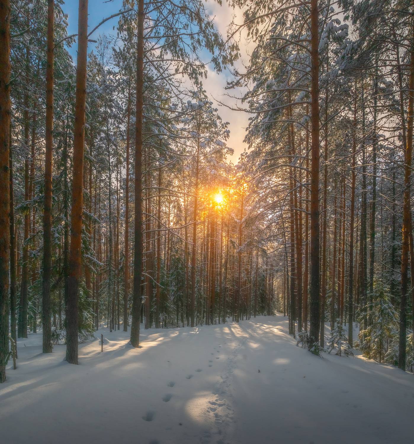 , Евгений Чикишев