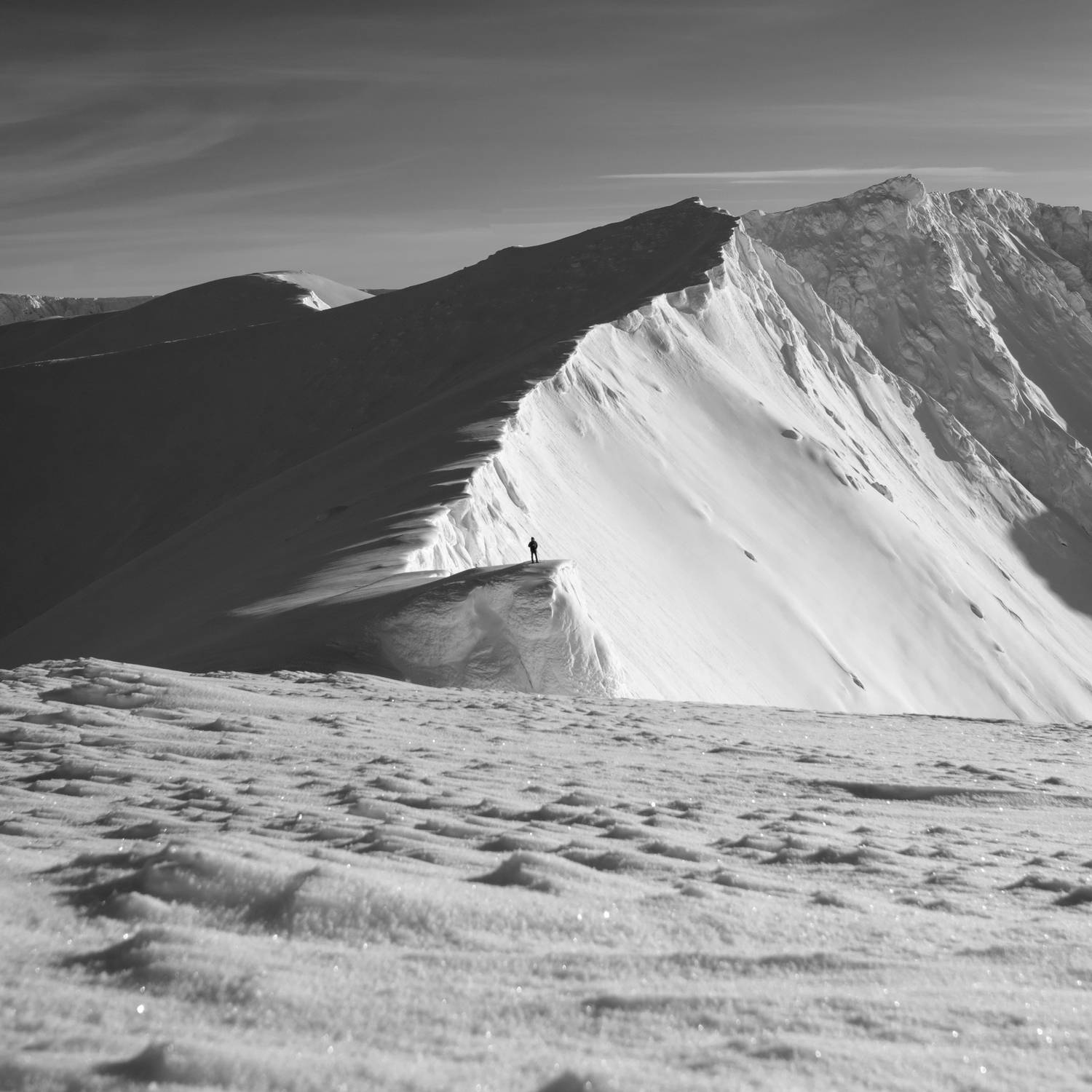 , Ян Сурогин