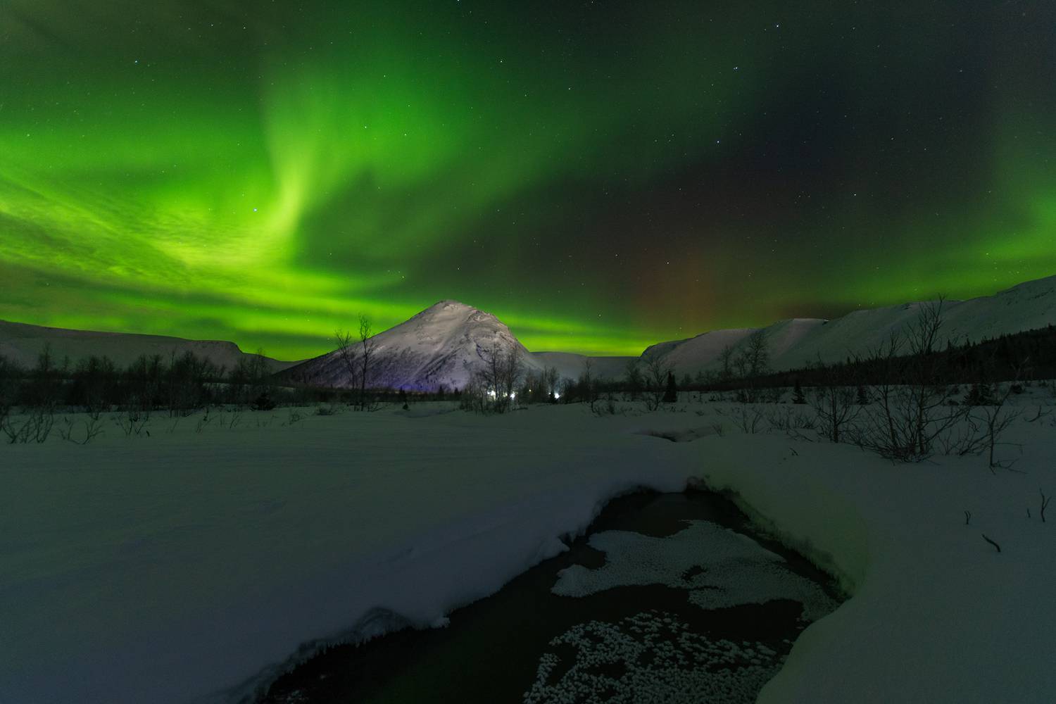 , Ян Сурогин